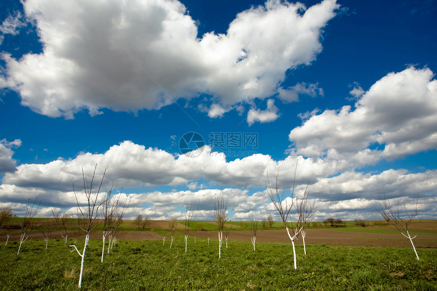 青年花园天蓝色日光乡村阳光地平线农村空气天空绿色多云图片