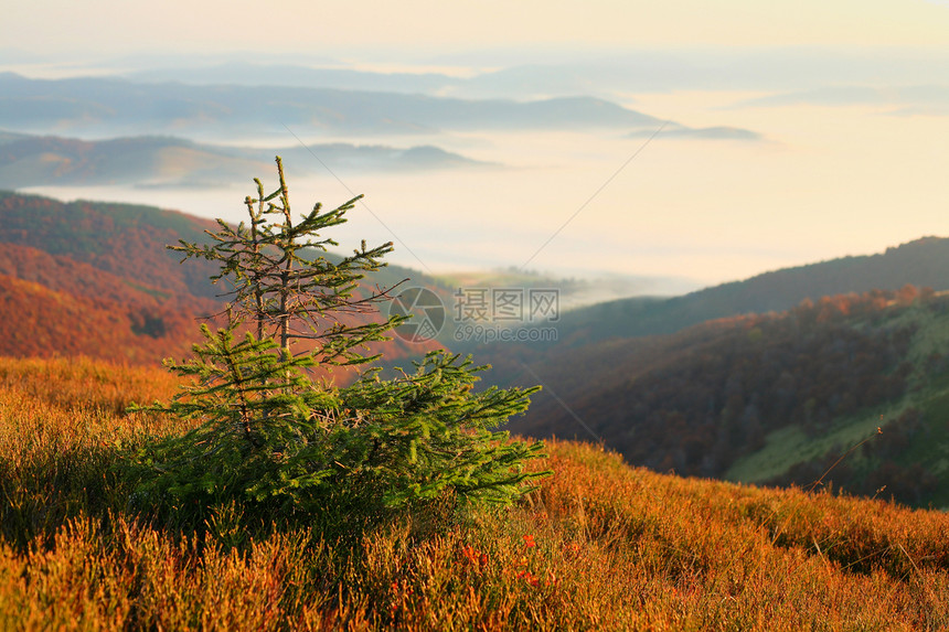 秋山森林蓝色叶子水平季节岩石橙子天空图片