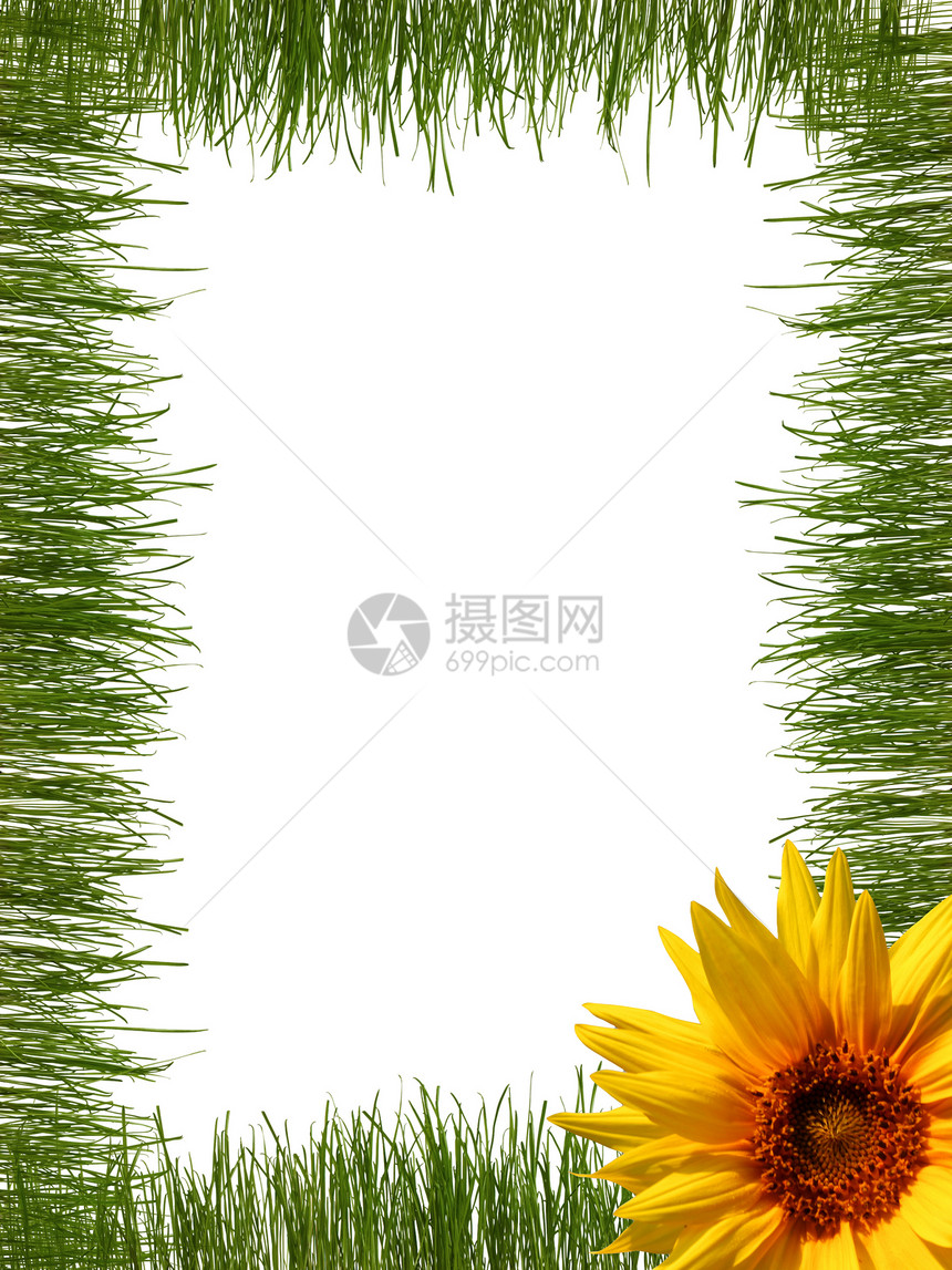 草框架植物绿色图片