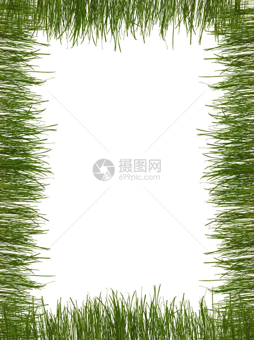 绿色绿框架花园季节植物植物学边界图片