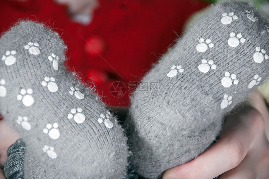 婴儿腿纺织品袜子羊毛灰色图片