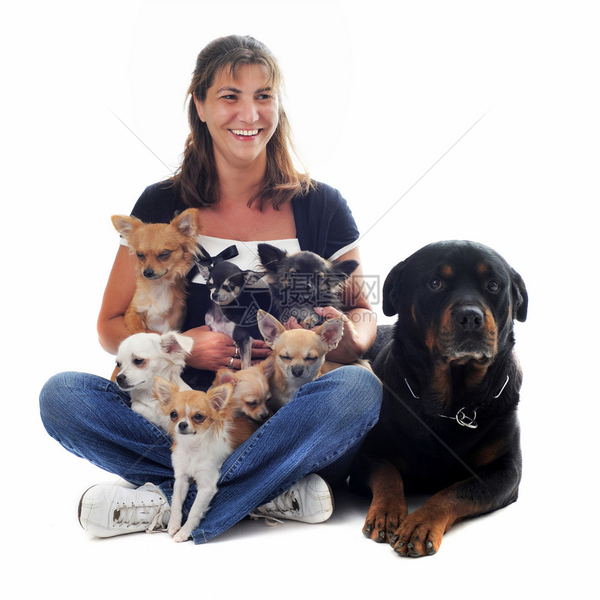妇女和她的狗犬类女士宠物鼻子衣领工作室女孩小狗黑色动物图片