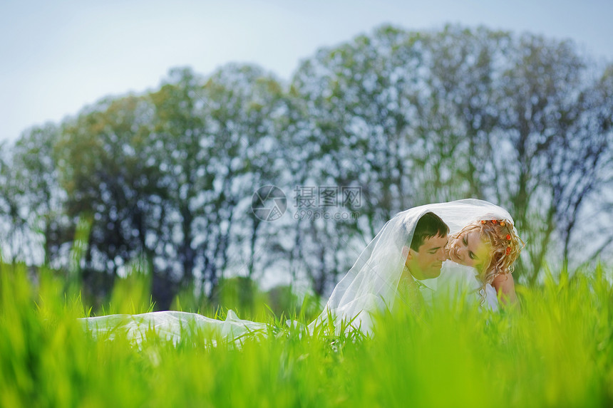 结婚夫妇家庭公园面纱女性太阳婚姻新娘喜悦订婚男性图片