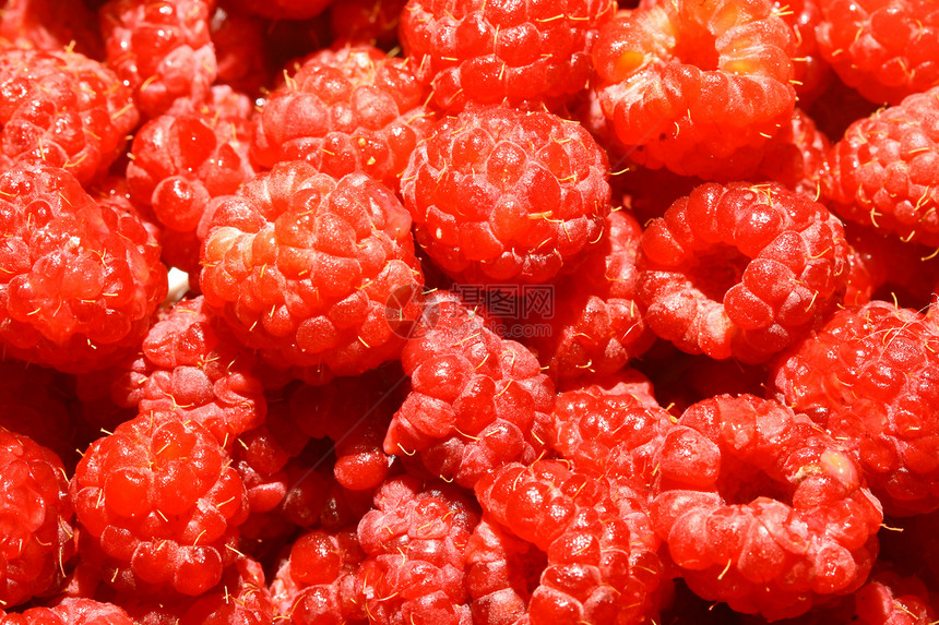 树莓草莓蔬菜宏观种子荒野水果甜点季节覆盆子营养饮食图片