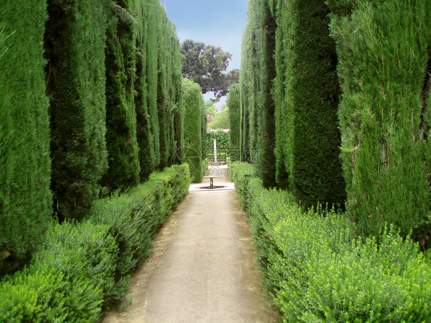 阿尔罕布拉公园灌木丛建筑学吸引力树篱城堡途径小路沼泽地花园历史图片