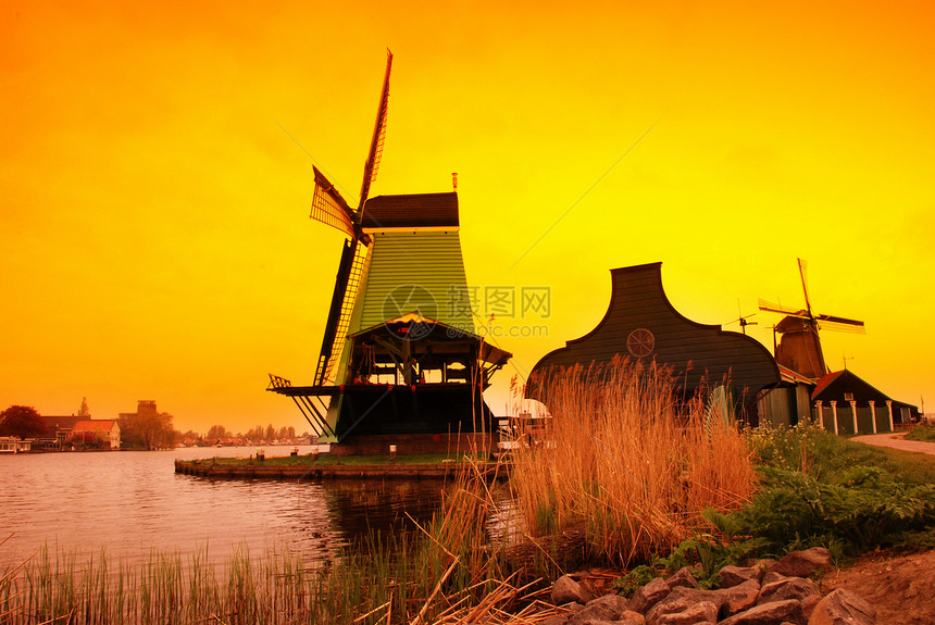荷兰日落旋转反射池塘运河场地牧场旅行风车天空鸭子图片