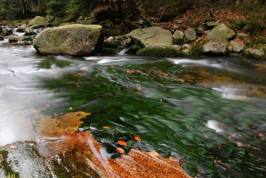 野山溪公园飞溅苔藓森林峡谷瀑布石头树木运动流动图片