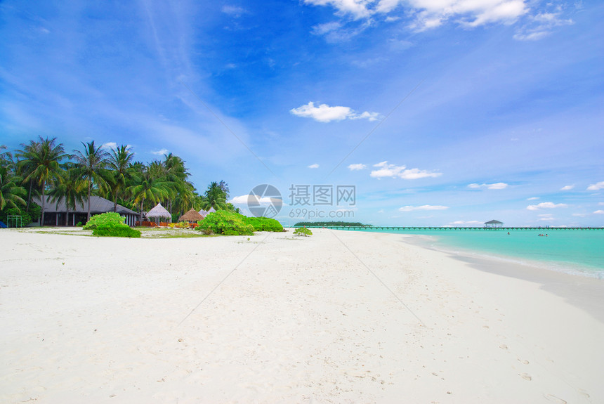 热带热带天堂美丽码头蓝色天空树木异国海岸线波纹风景娱乐图片