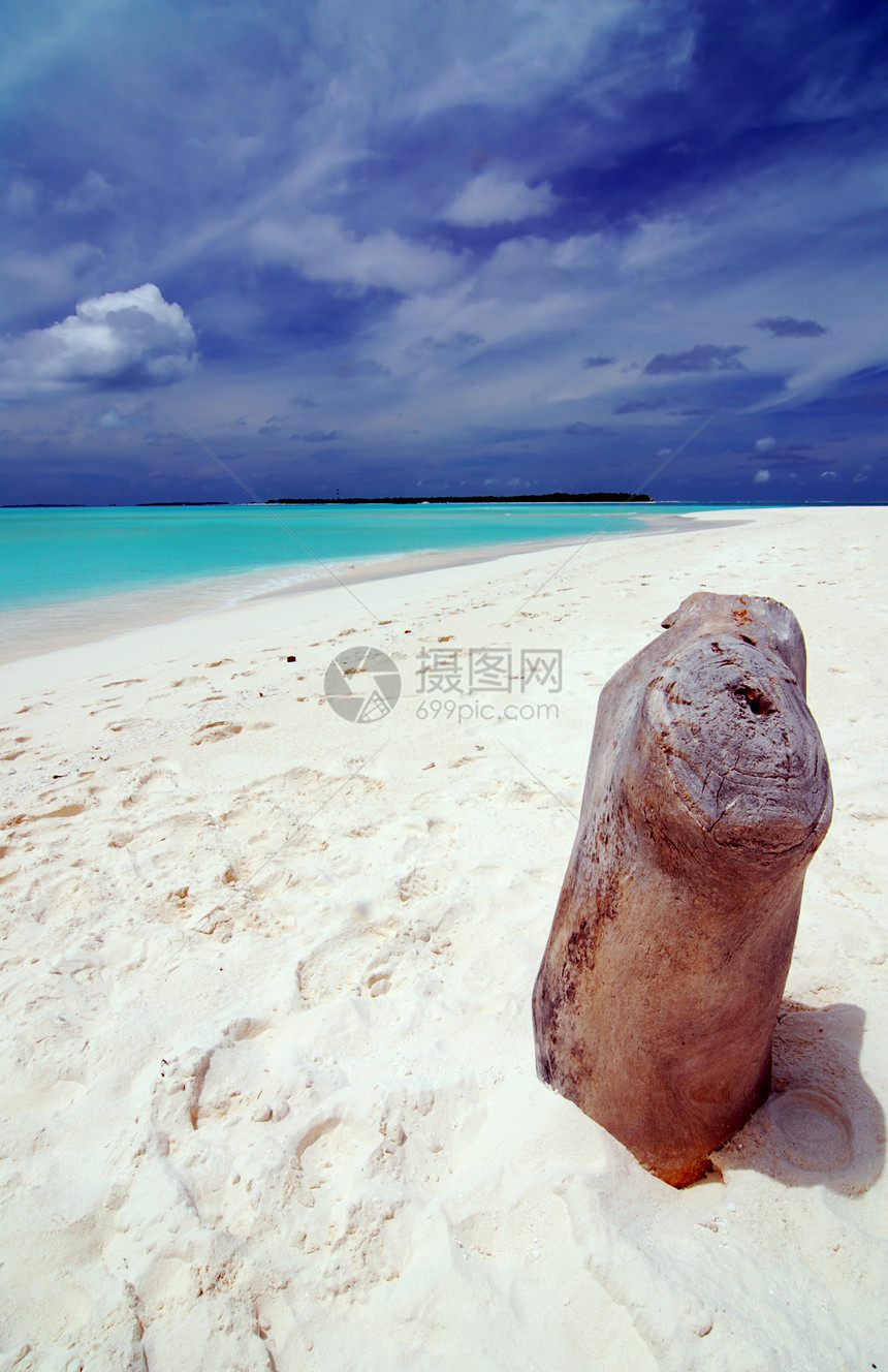 热带沙滩和中干海浪树干旅行假期树桩阳光娱乐情调海景蓝色图片