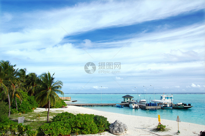 马尔代夫港口海洋棕榈植被海滩丛林多云码头异国热带运输图片