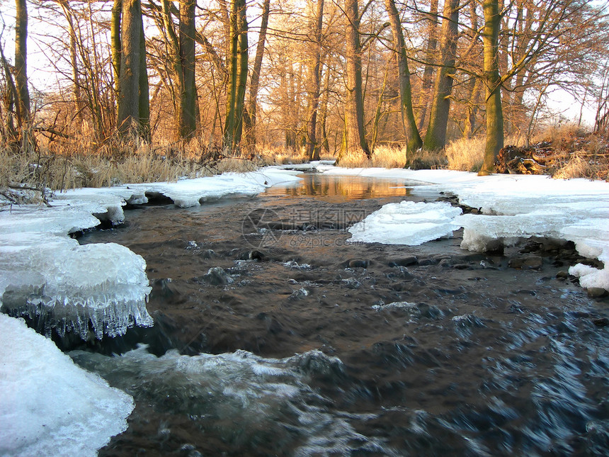 冻结河溪流晴天阳光流动季节水晶冰柱太阳生态森林图片