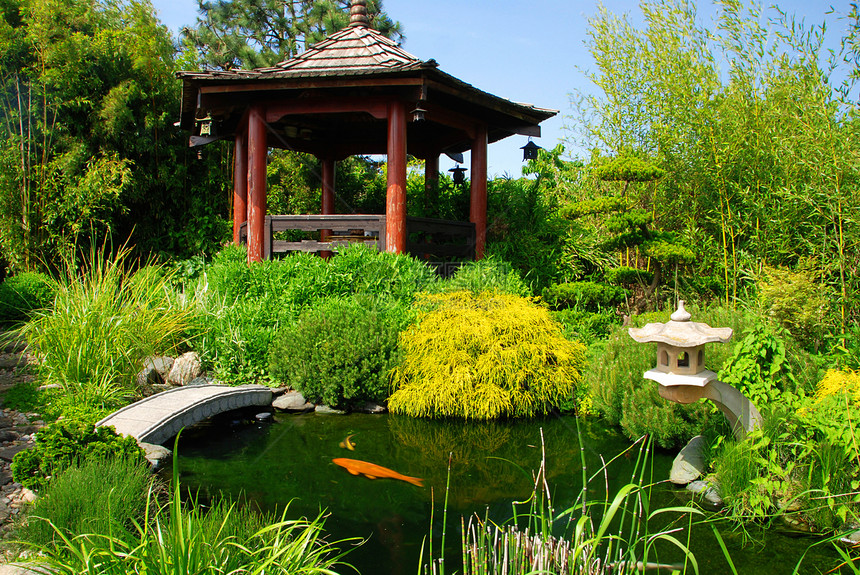 美丽的日美花园房子天空植物池塘凉亭竹子小路环境花朵锦鲤图片