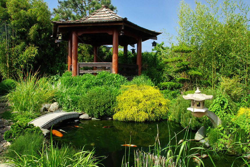 美丽的日美花园建筑学锦鲤植物天空花朵凉亭房子池塘园艺环境图片