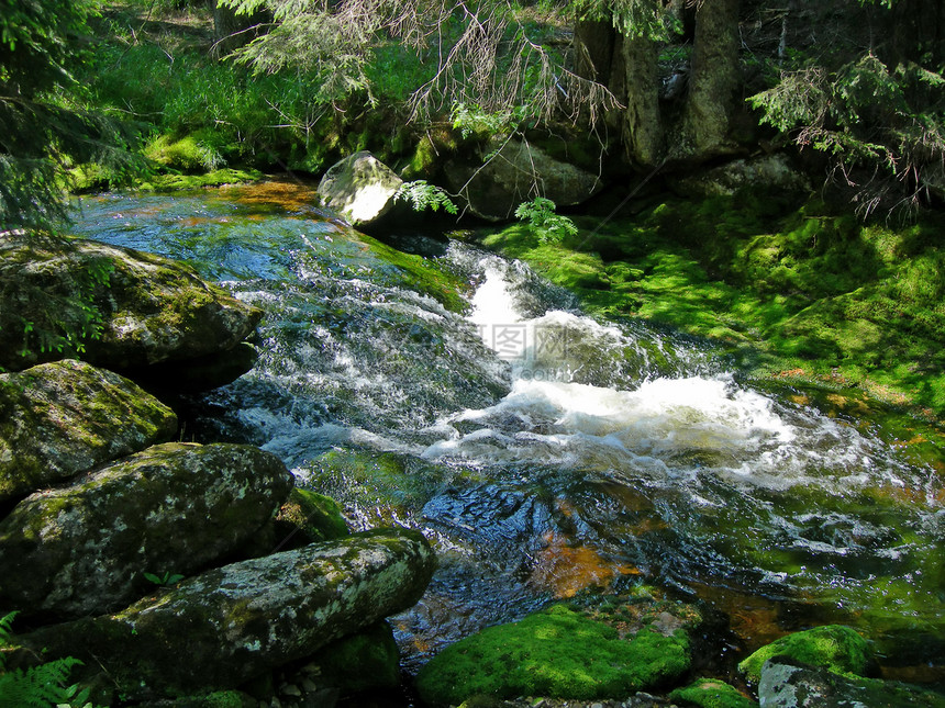 山区溪石头峡谷森林山脉流动树叶飞溅苔藓荒野运动图片