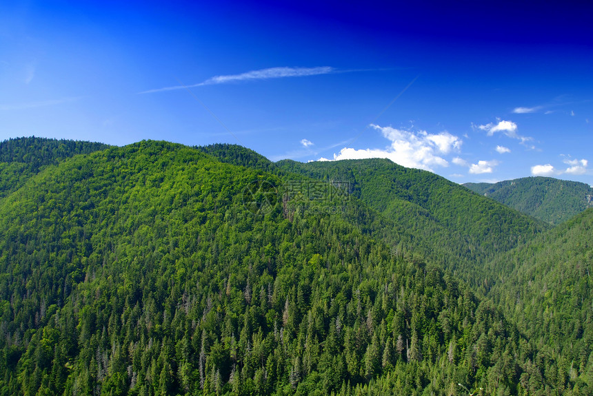 山山脉树木丘陵风景场景天空森林远景绿色蓝色图片