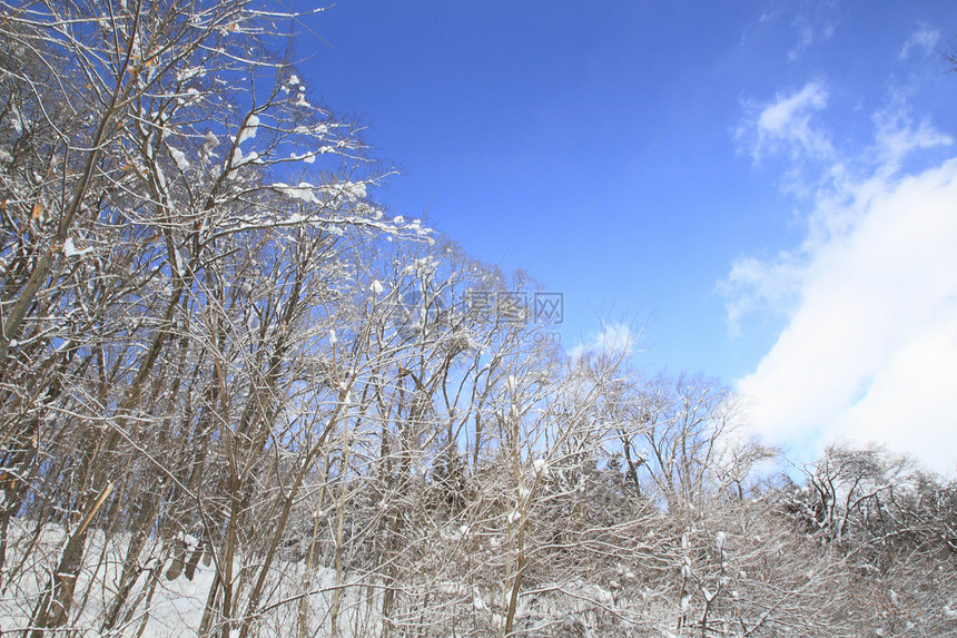 雪地和蓝天空天空雪原蓝色场地白色图片