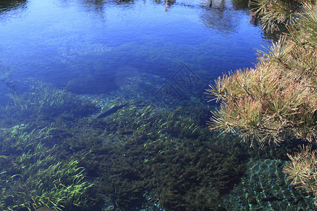 福吉山泉蓝色之泉八海旅行池塘图片素材