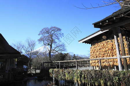 福吉山泉之泉反射池塘房子观光天空旅行假期图片素材