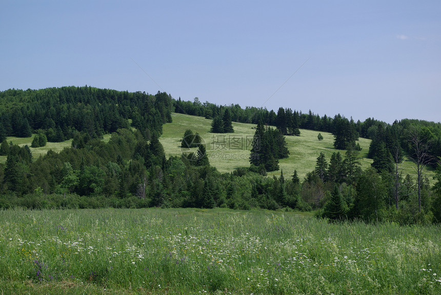 夏季田间山坡爬坡农村蓝色天空森林农业农田乡村农场图片