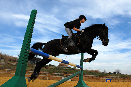 跳马运动训练竞赛黑色天空宠物太阳社会公民行动背景图片