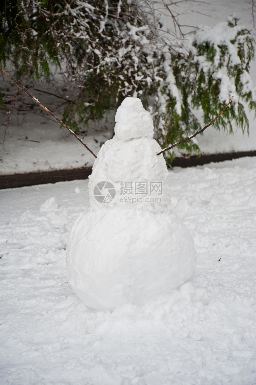 雪人植物白色季节性季节公园冻结图片