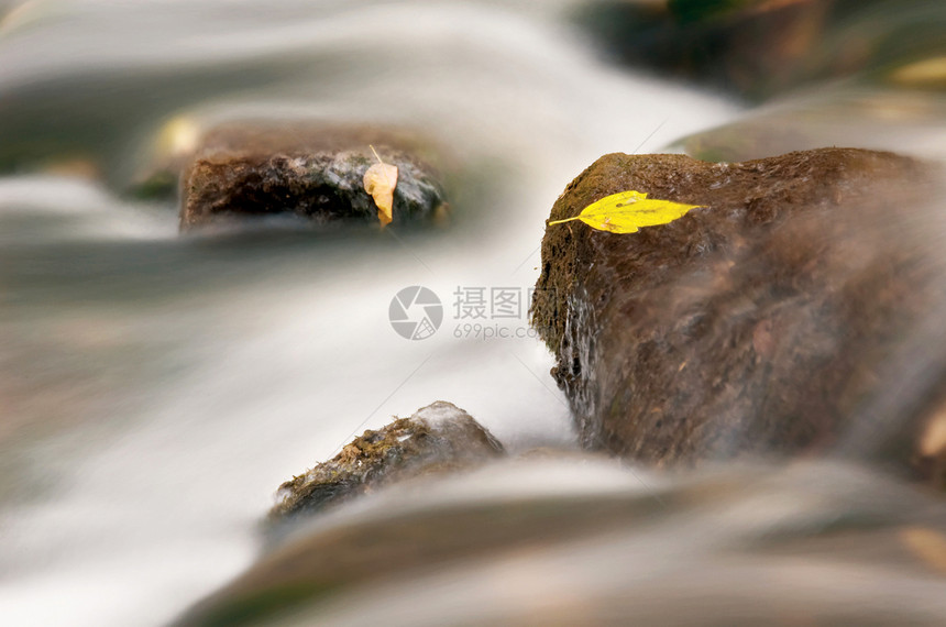 在一条河流中公园石头生态荒野木头叶子速度瀑布岩石溪流图片