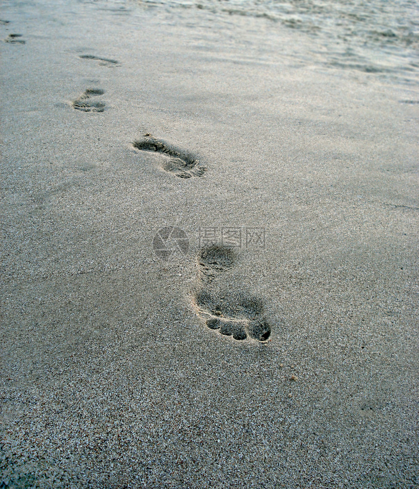 沙子上的踪迹海滨打印烙印海滩支撑脚步赤脚海岸曲目智人图片