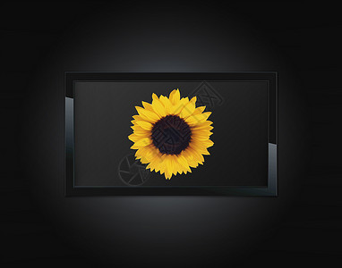 液晶面板屏幕薄膜控制板向日葵液体监视器展示宽屏技术视频背景图片