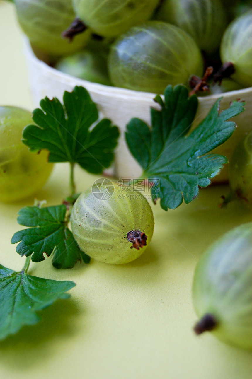 有叶子的鹅莓木头花园食物蓝色饮食香味浆果树叶绿色甜点图片