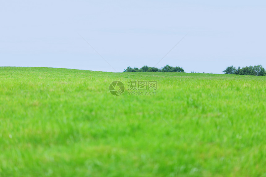 绿绿草场地草地蓝色植物地平线阳光地球环境射线天气图片