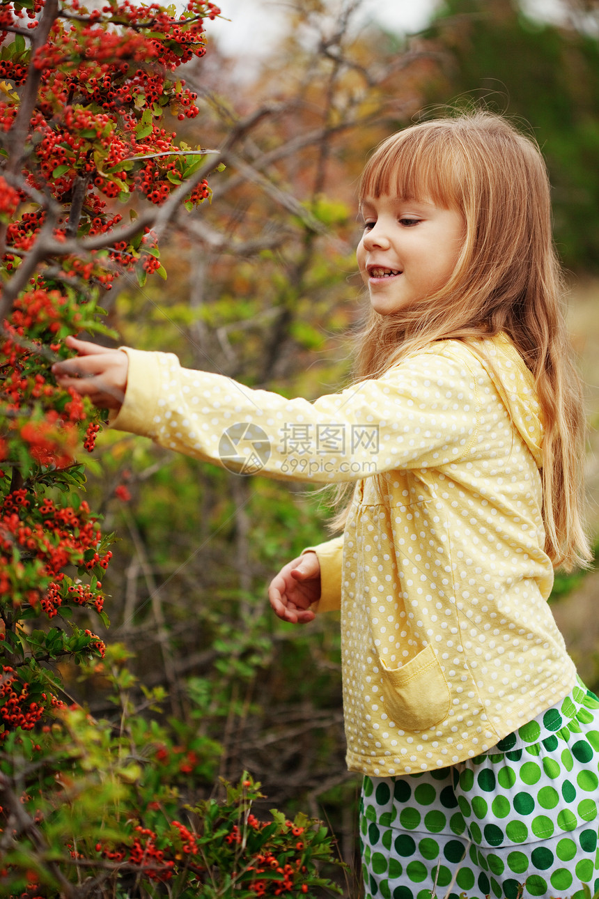 秋天的孩子衣服公园育儿女儿女孩树叶黄色浆果季节性红色图片