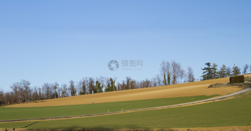 横向景观绿色棕色黑色木头公园天空森林花园红色植物图片