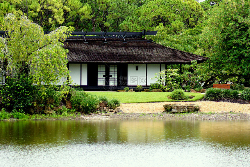 以池塘为家图片