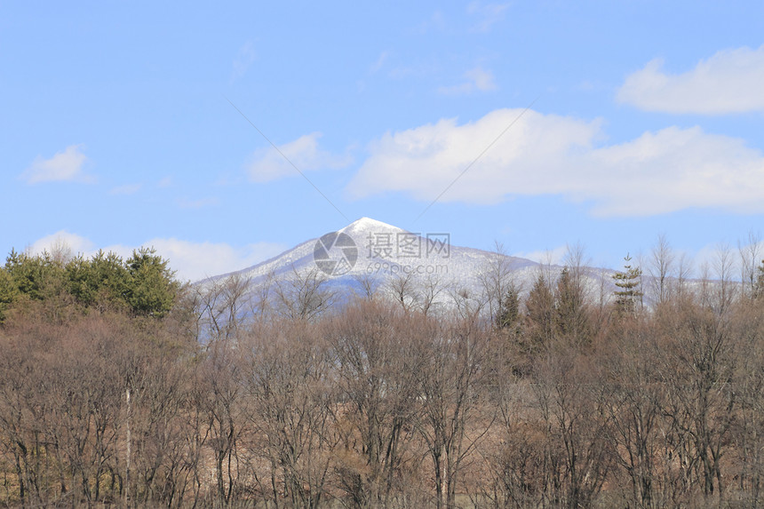 Mt himekami山和蓝天白色木头森林图片