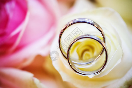带花束的结婚戒指婚礼合金丝绸金子庆典生活夫妻玫瑰订婚珠宝背景图片