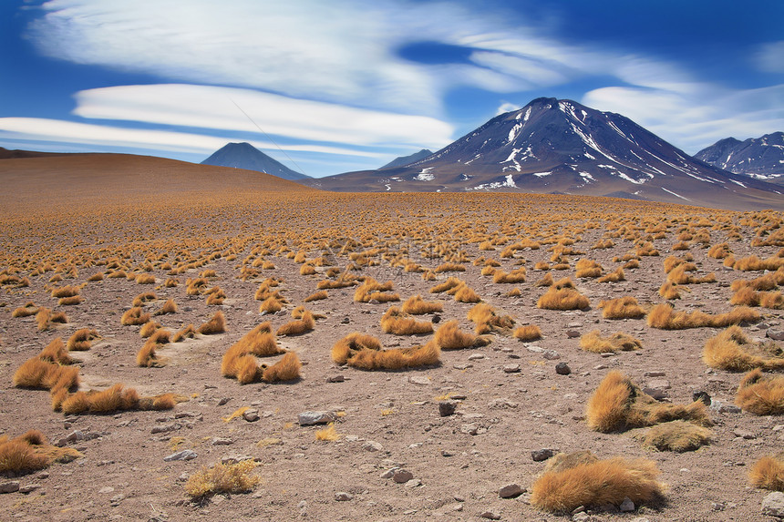 智利阿塔卡马沙漠米桑蒂火山图片