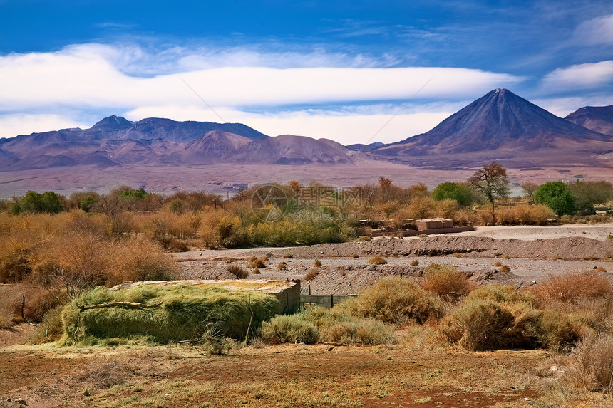 智利圣佩德罗德阿塔卡马拉丁地形荒野旅行沙漠树木村庄沙丘高原假期图片