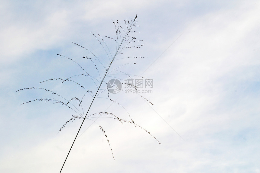 蓝天空背景太阳云景沉淀天蓝色环境季节阳光气候积雨天空图片