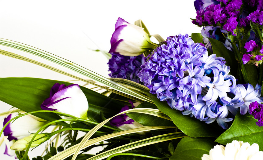 蓝青模糊 亚丁 花束花园蓝色鼻子甘菊白色紫色植物群棕色花瓣黄色图片