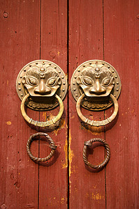 门环金属旧木门上的双狮子把手背景
