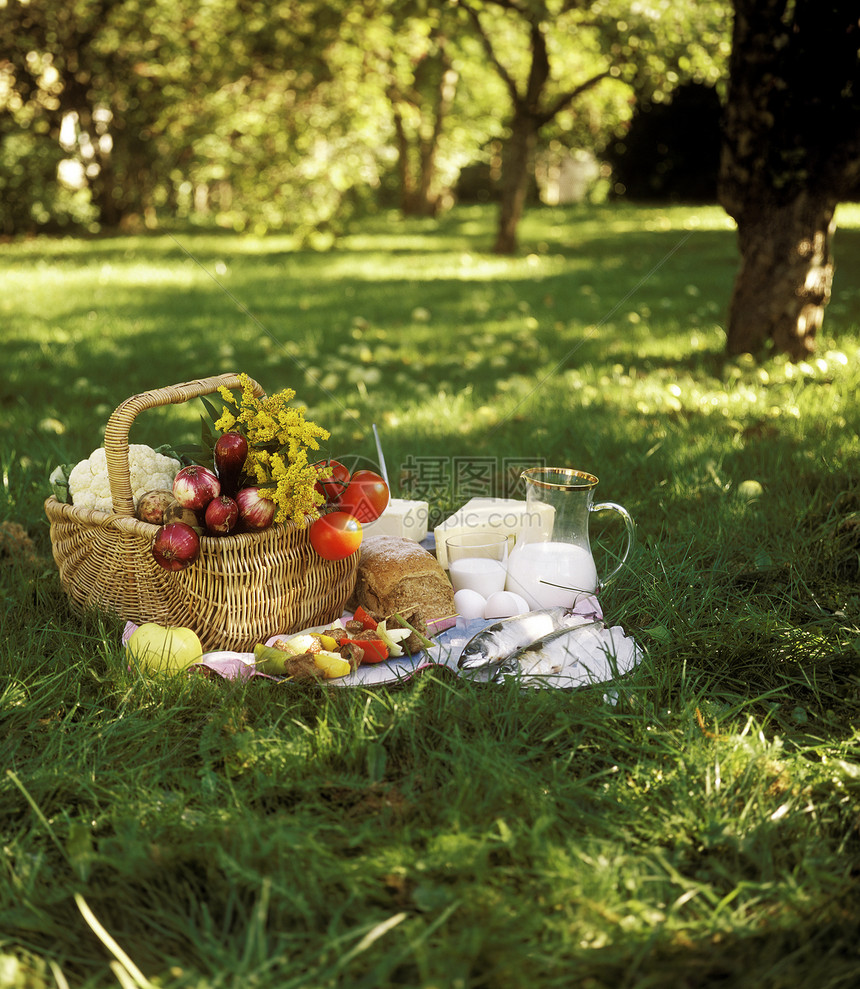 野风牛奶酒瓶食物果汁早餐篮子草地休息面包静物图片