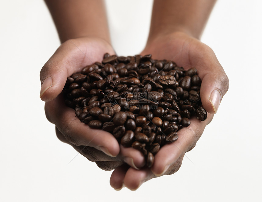 咖啡豆豆物体棕色人类白色咖啡店焦点水平香味图片