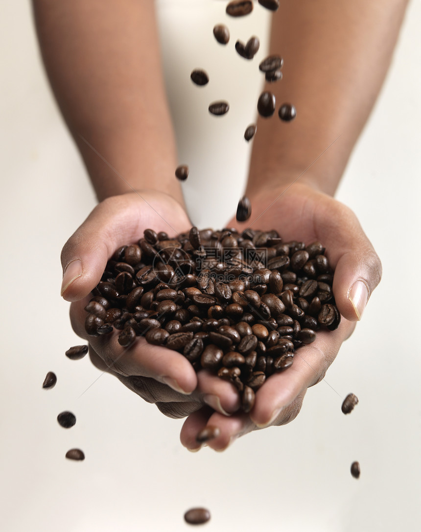 咖啡豆豆物体人类焦点咖啡店香味白色水平棕色图片