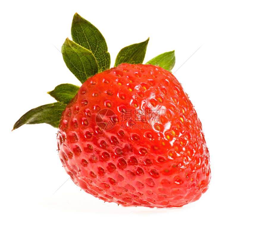 单一成熟草莓图片