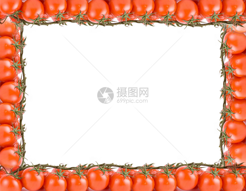 西红番茄框架养分叶子花园作品美食生产边界团体蔬菜食物图片