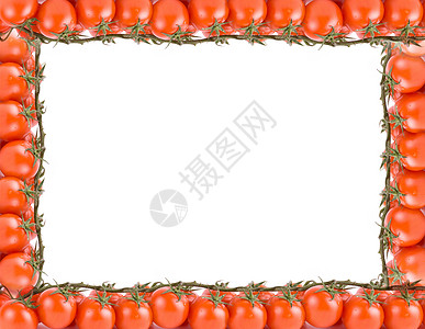 樱桃叶矩形相框西红番茄框架养分叶子花园作品美食生产边界团体蔬菜食物背景