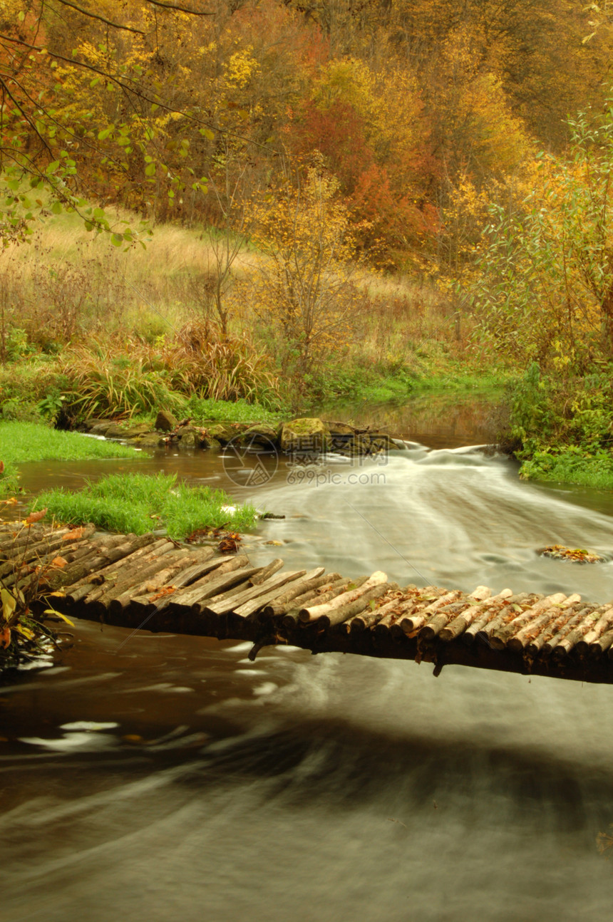 脚桥行人全景叶子生态岩石溪流木头速度森林天桥图片