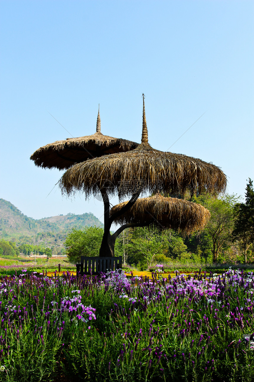 景观花花花园草地绿化园丁园艺园林美化上诉绿色装饰院子图片