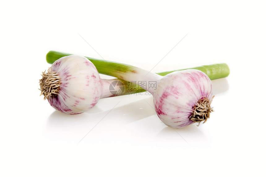 白色上孤立的玻璃蔬菜食物收成果实香菜叶子绿色香料水果图片