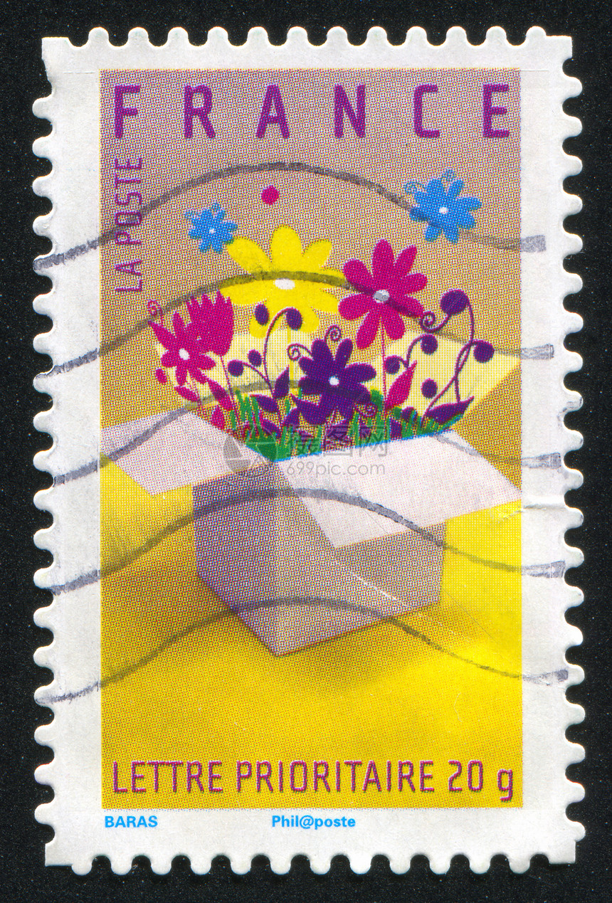 花朵明信片历史性邮件集邮纸板邮资盒子叶子邮票海豹图片